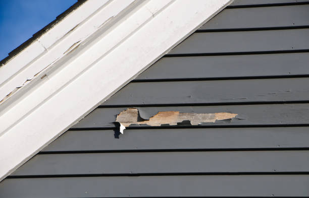 Custom Trim and Detailing for Siding in Allison, IA